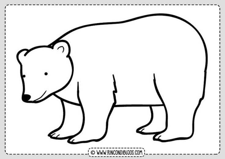 oso polar dibujo