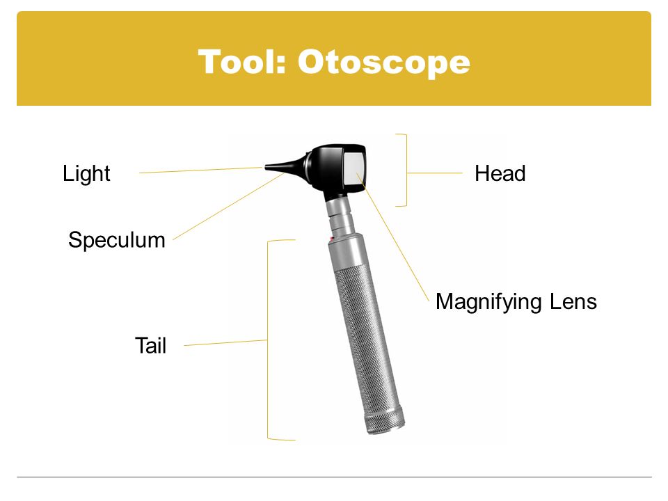 otoscope diagram