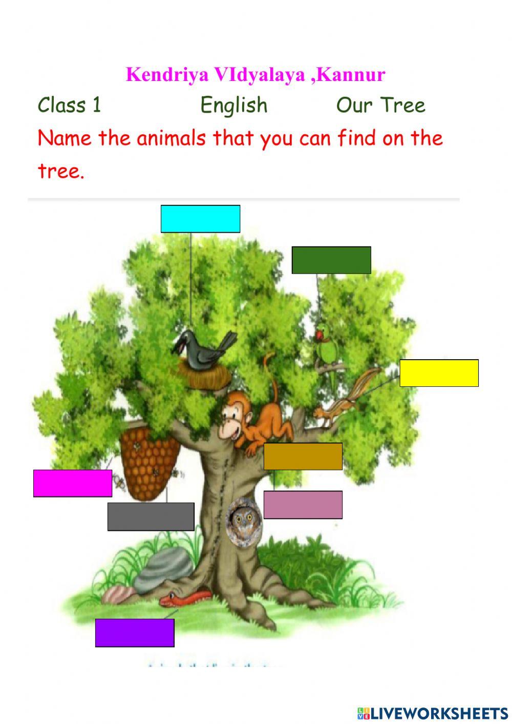 our tree class 1 worksheet