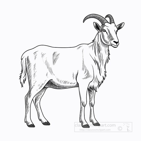 outline picture of goat