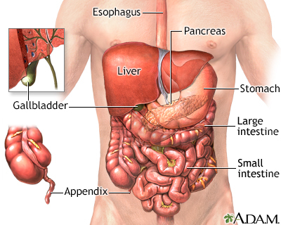 pain right side abdomen under ribs