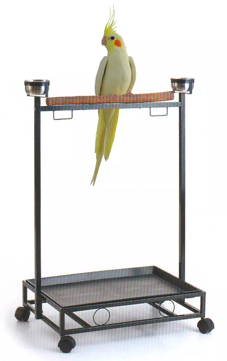 parrot stand