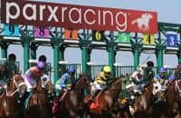 parx results