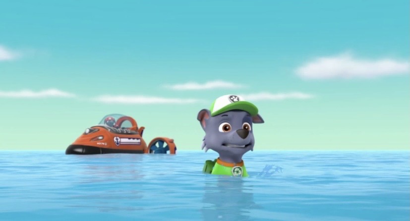 paw patrol rocky water