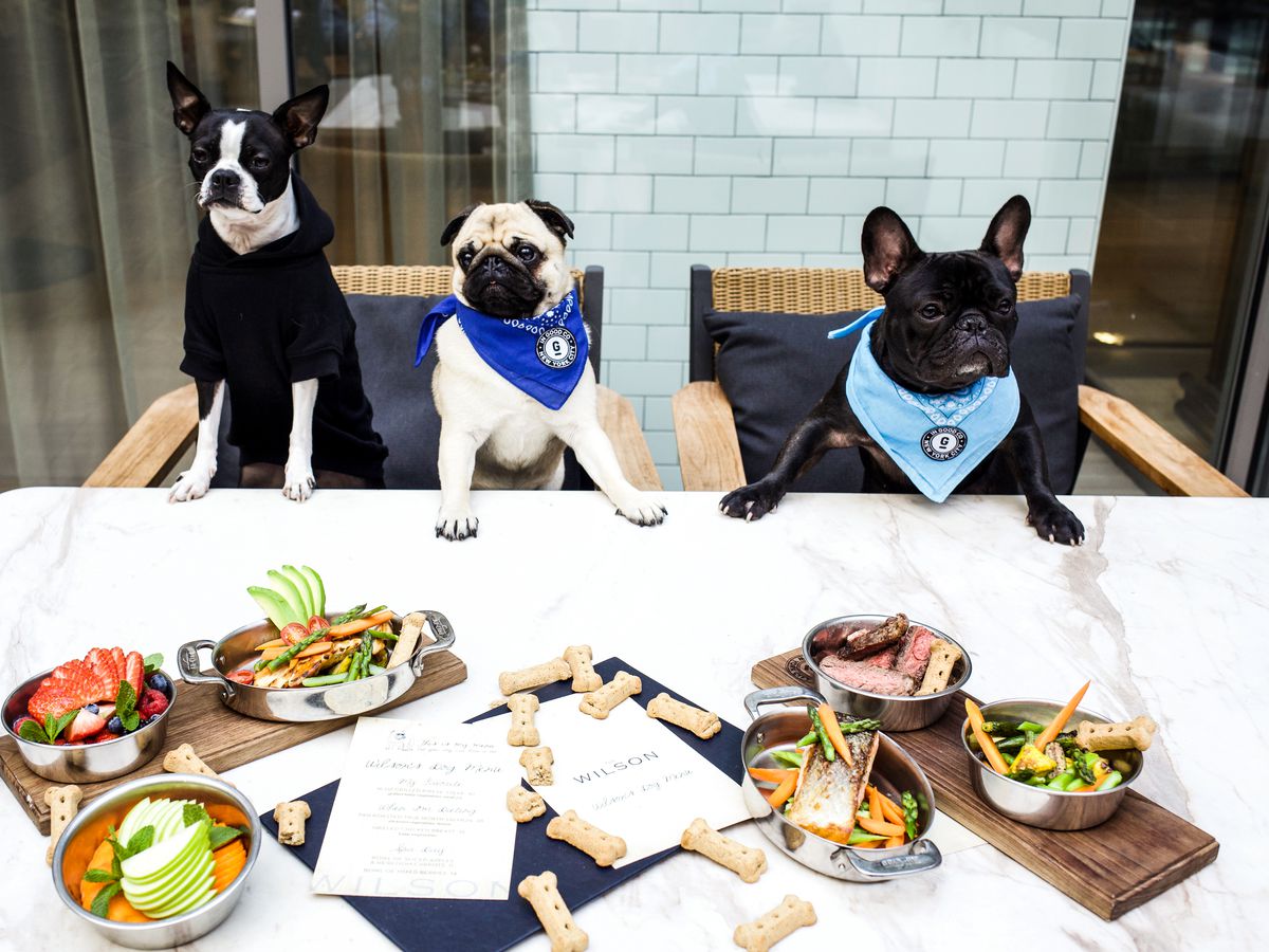 pet friendly restaurants near me