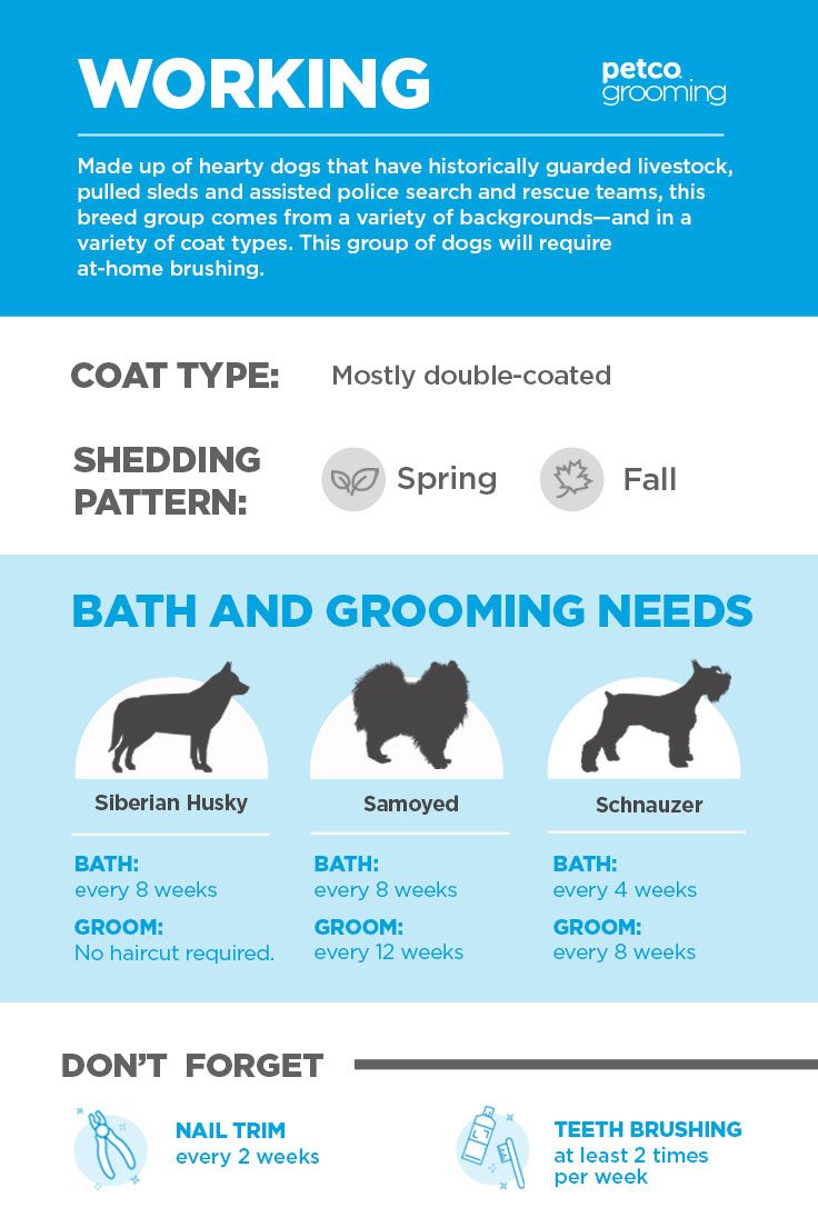 petco grooming hours