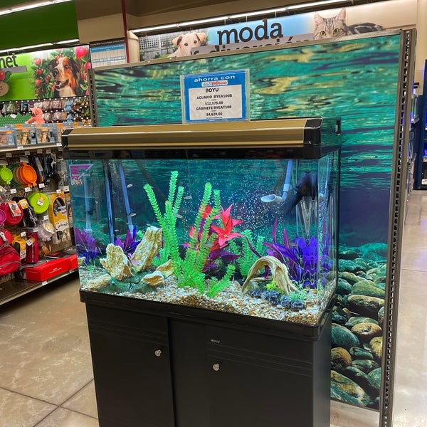 petco oasis