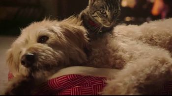 petsmart christmas commercial