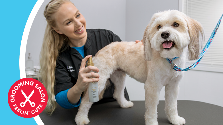 petsmart jacksonville beach