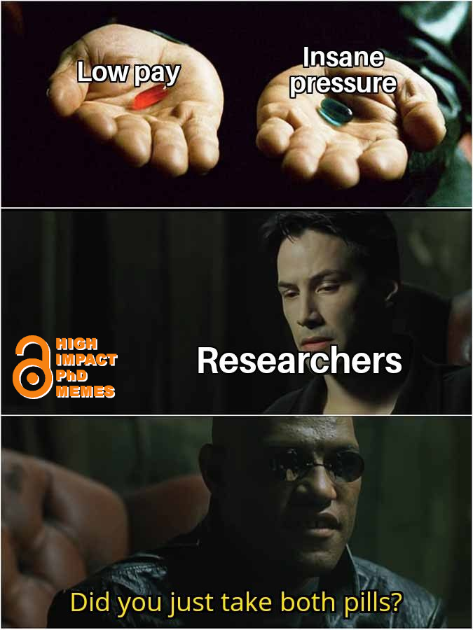 phd memes