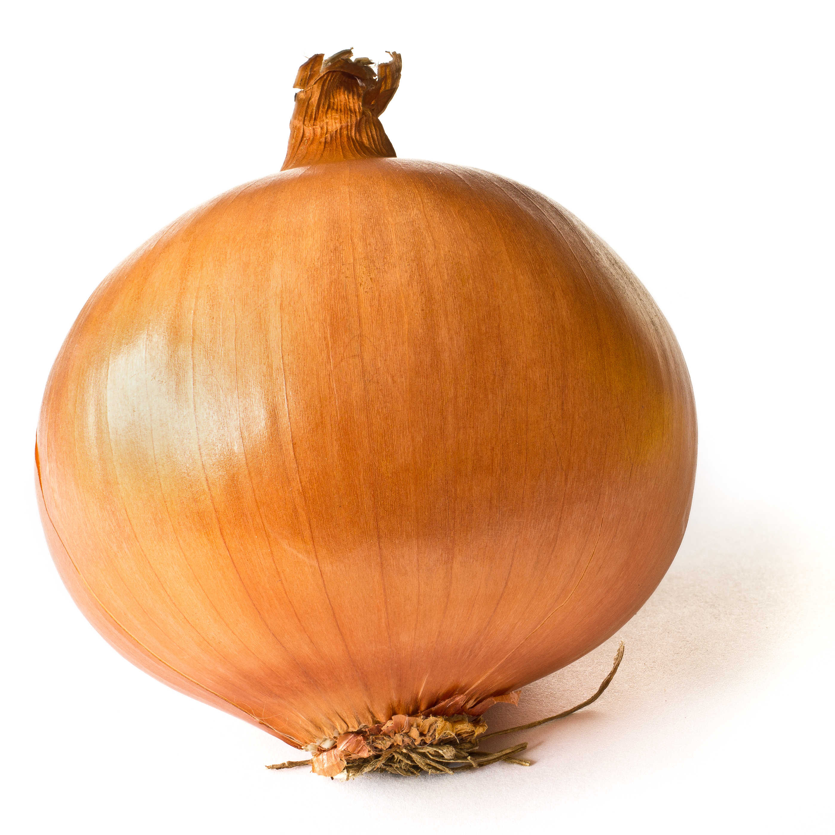 photos of onions
