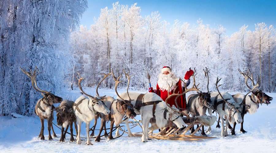 pictures of santas reindeer