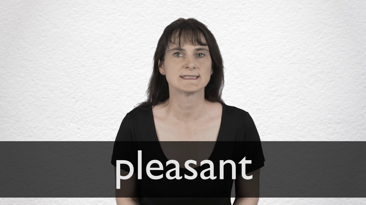 pleasant definition english