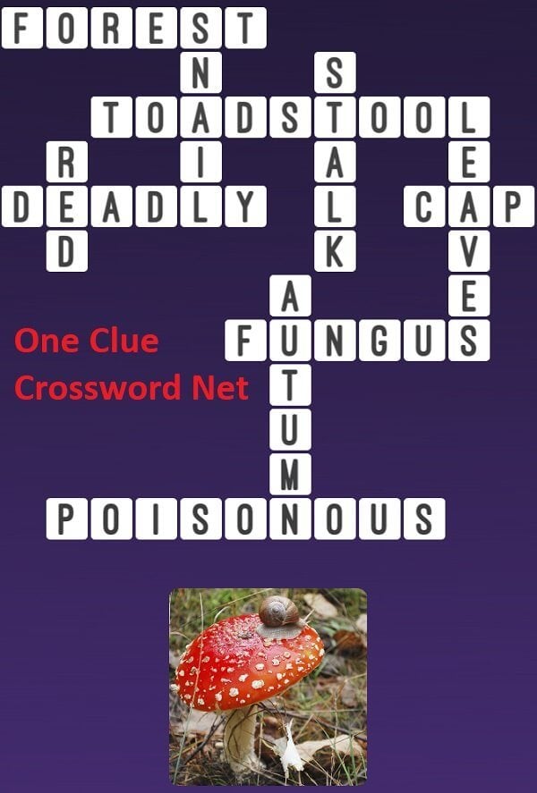 poisonous toadstool crossword