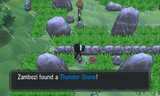 pokemon xy thunder stone