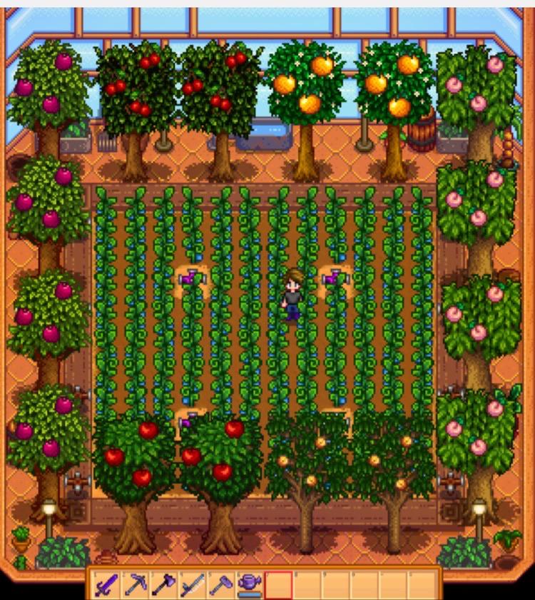 pomegranate stardew valley