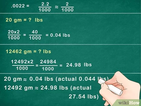 pound to grams conversion