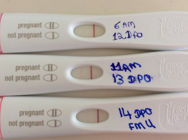 pregnancy test 14dpo