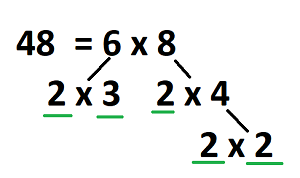 prime factors for 48