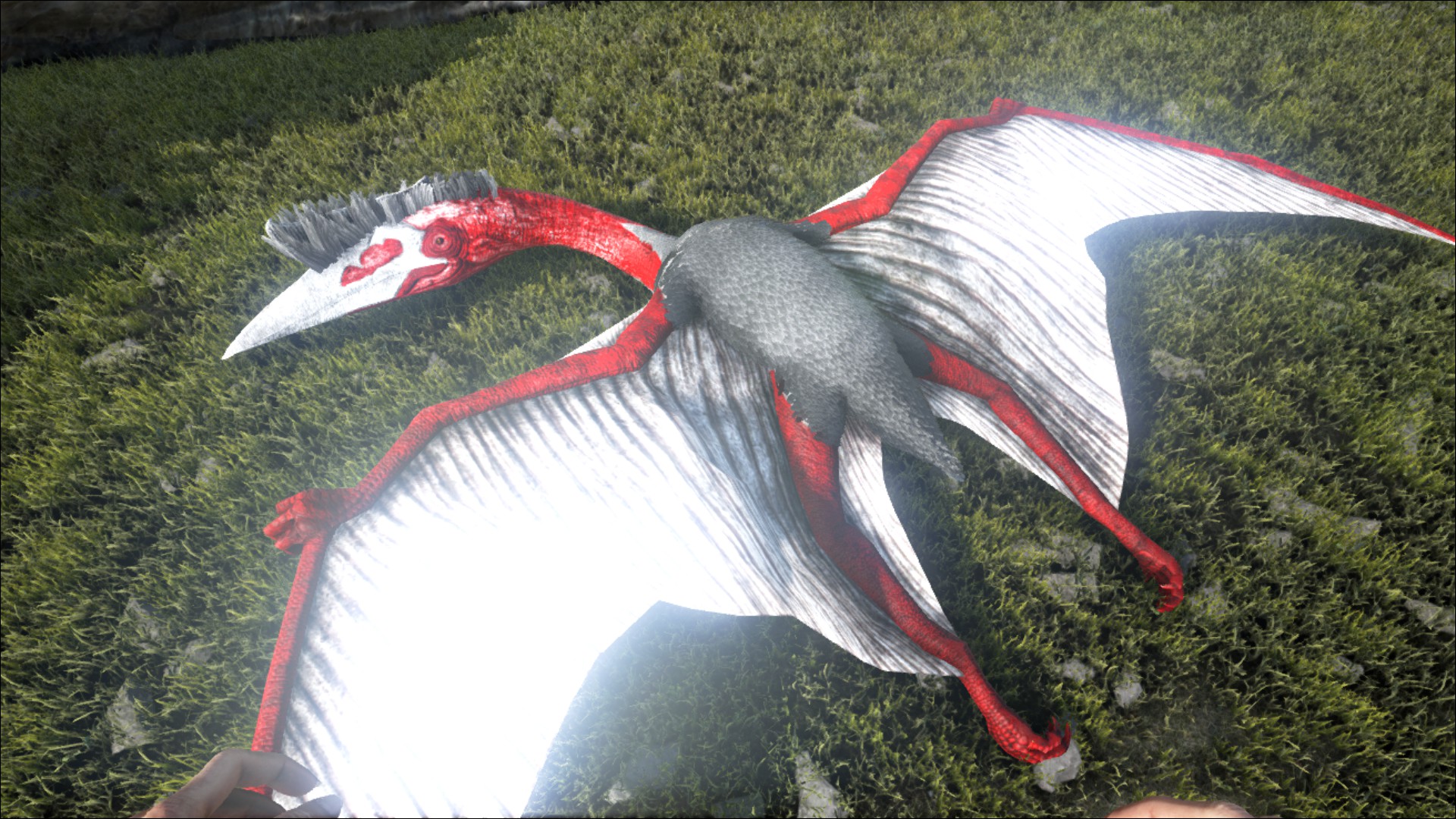 quetzalcoatlus ark