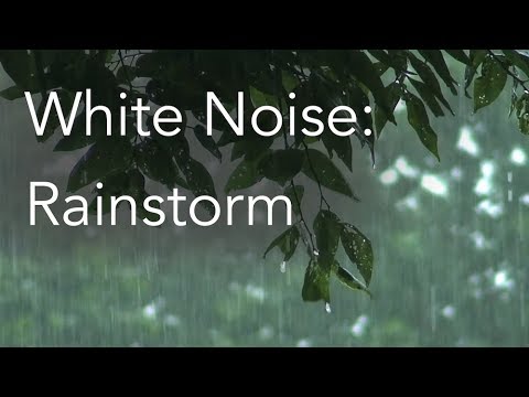 rainfall sounds relaxation