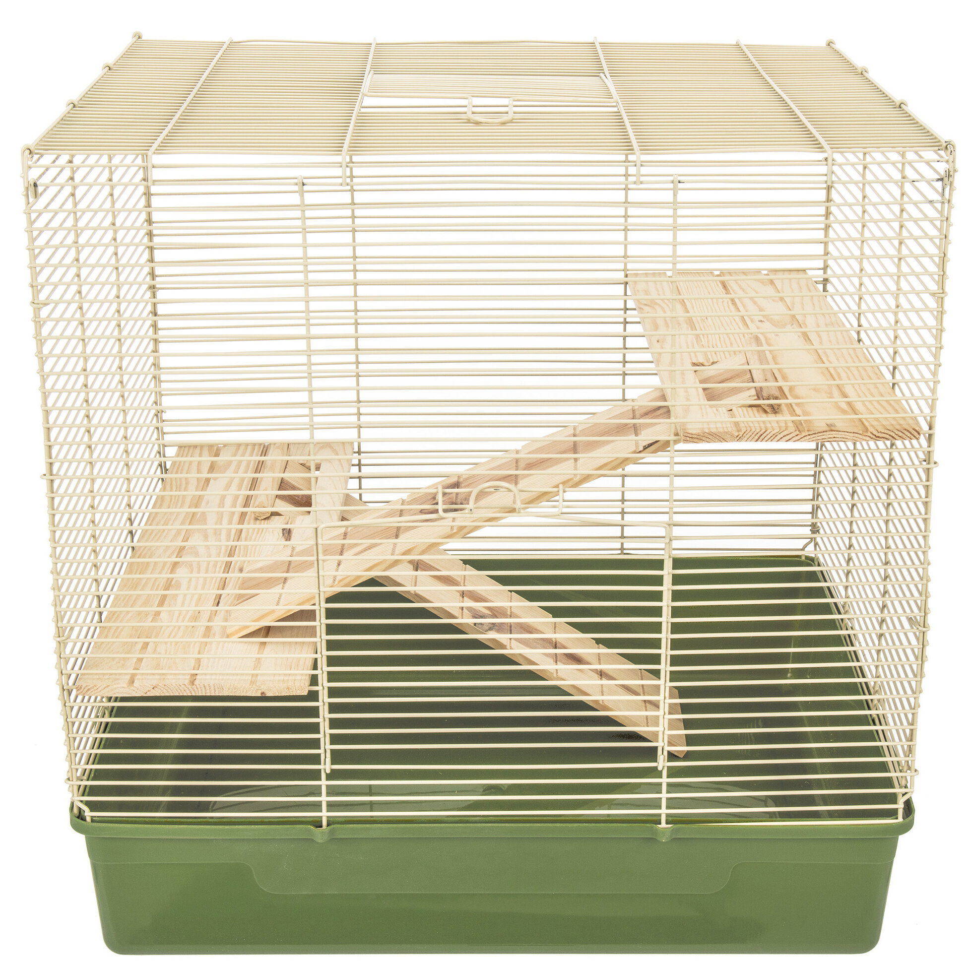 rats and cage for sale