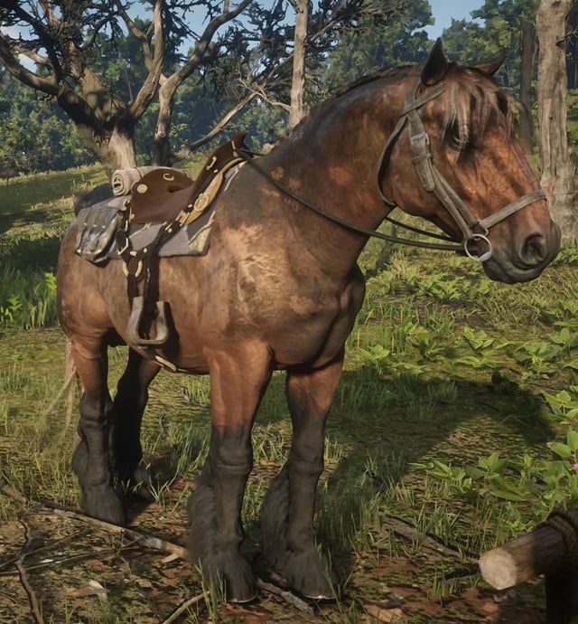 rdr2 big horses