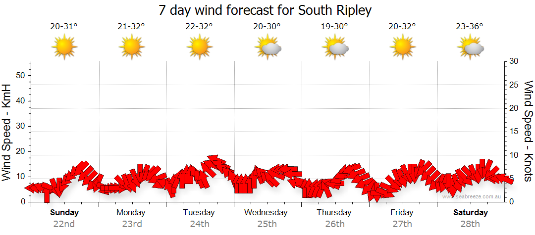 ripley weather