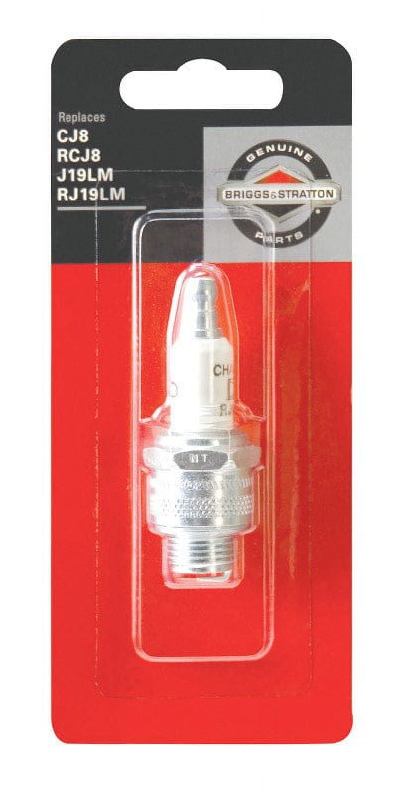 rj19lm spark plug cross reference