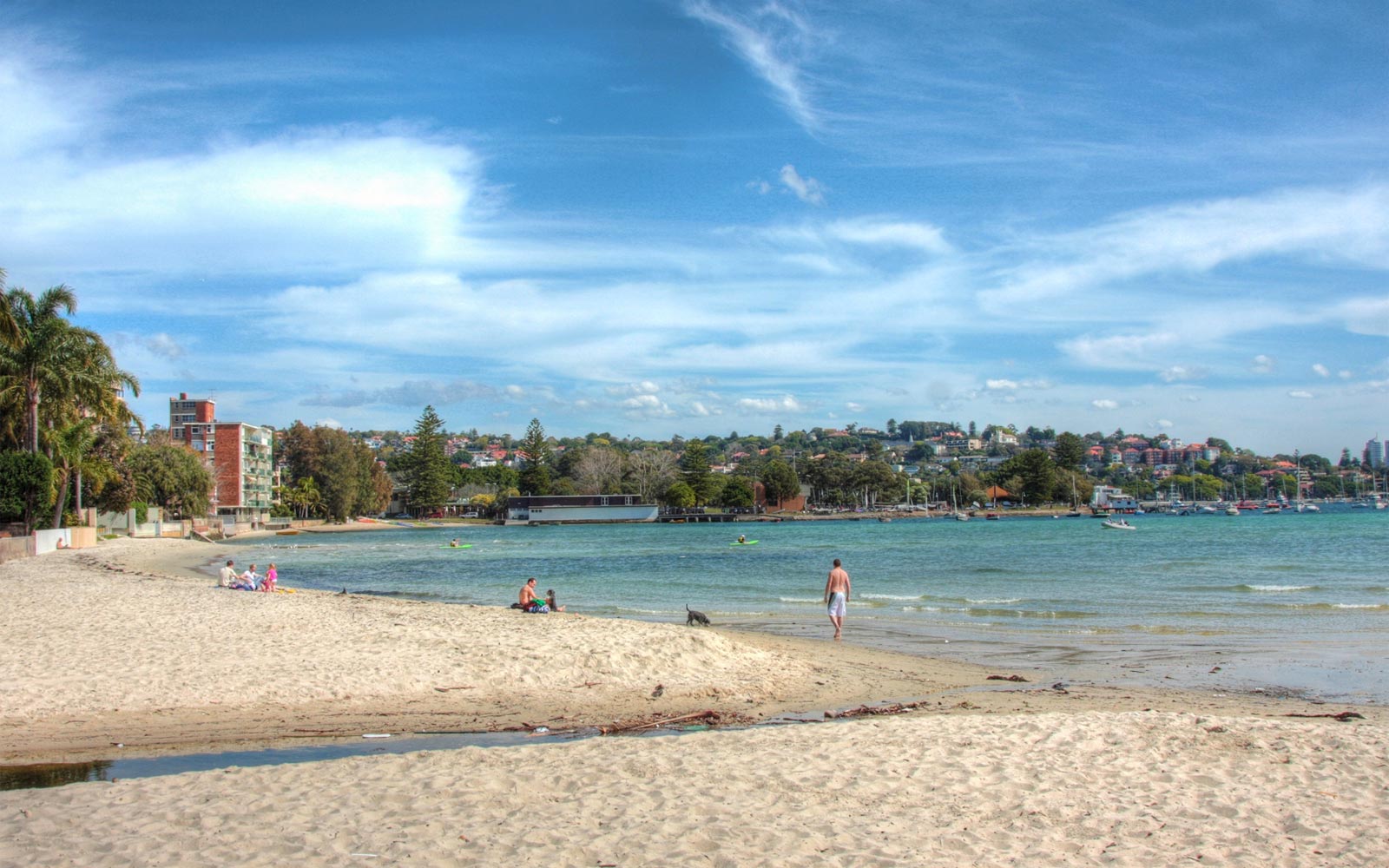 rose bay tides