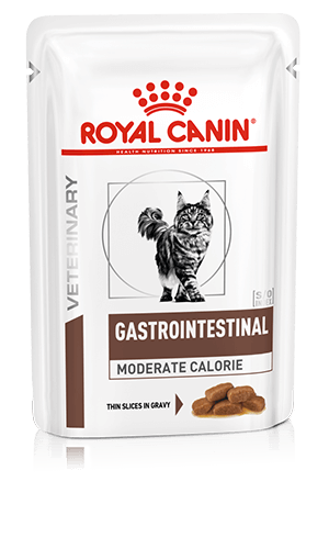 royal canin gastrointestinal moderate calorie cat food