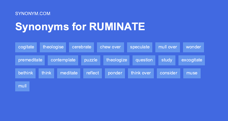 ruminate antonym