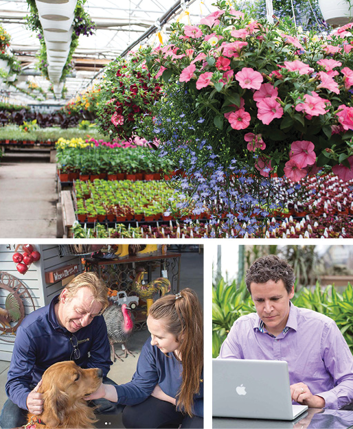 salisbury greenhouse