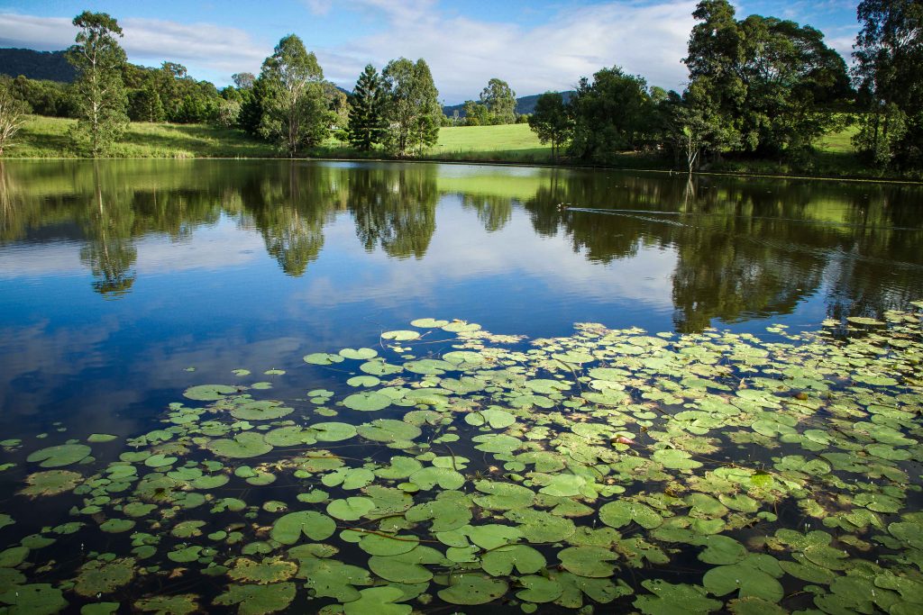 samford lakes accommodation