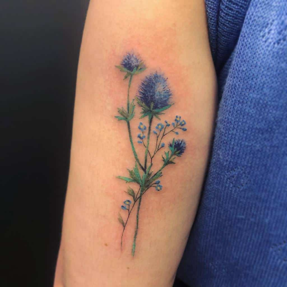 scotland thistle tattoo