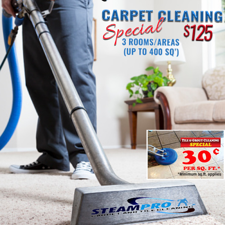 sears carpet cleaning specials