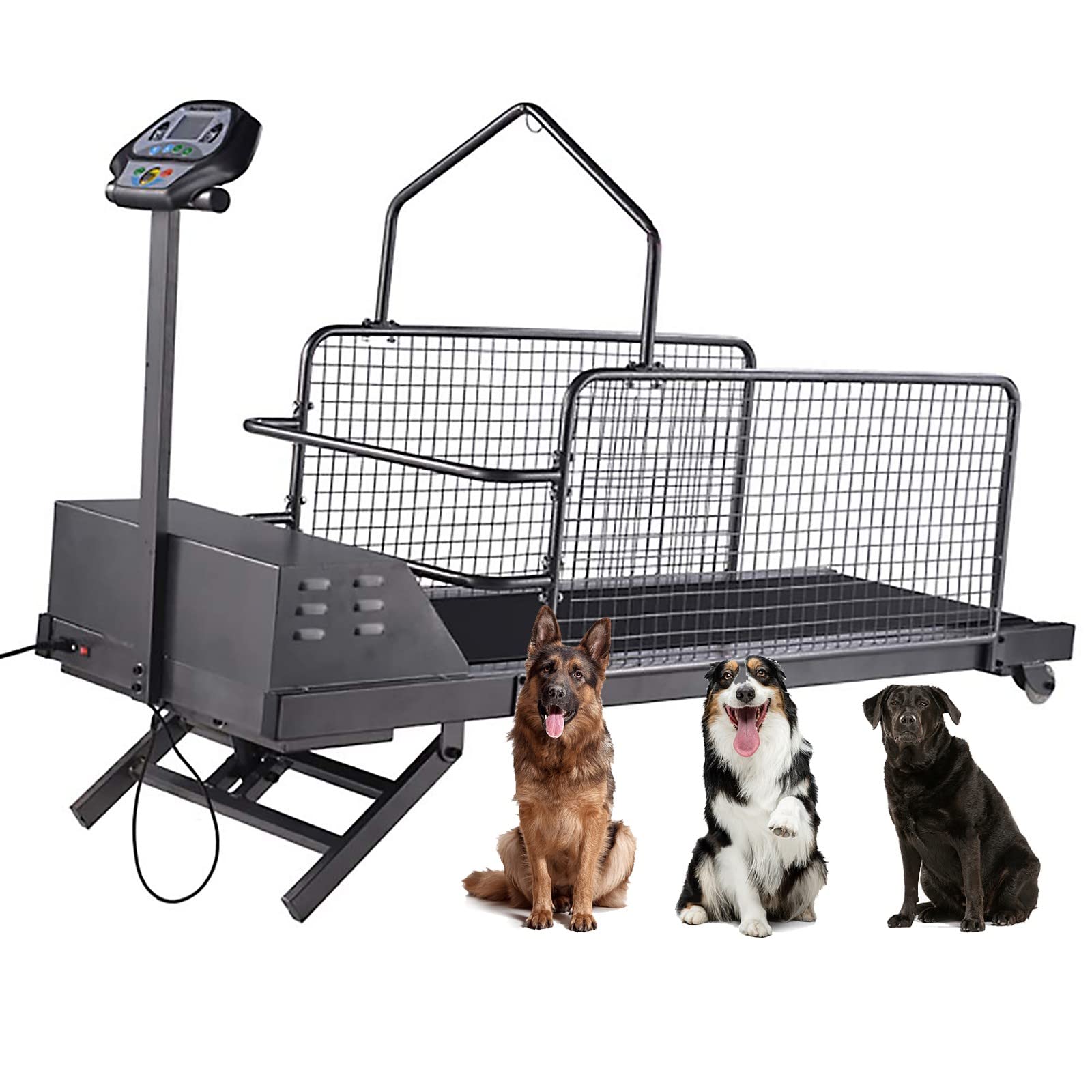 self propelled dog treadmill canada