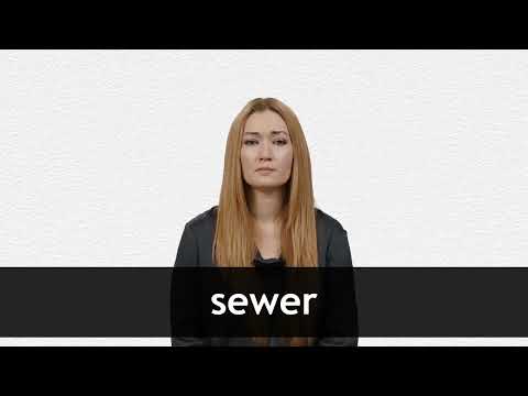 sewer 意味