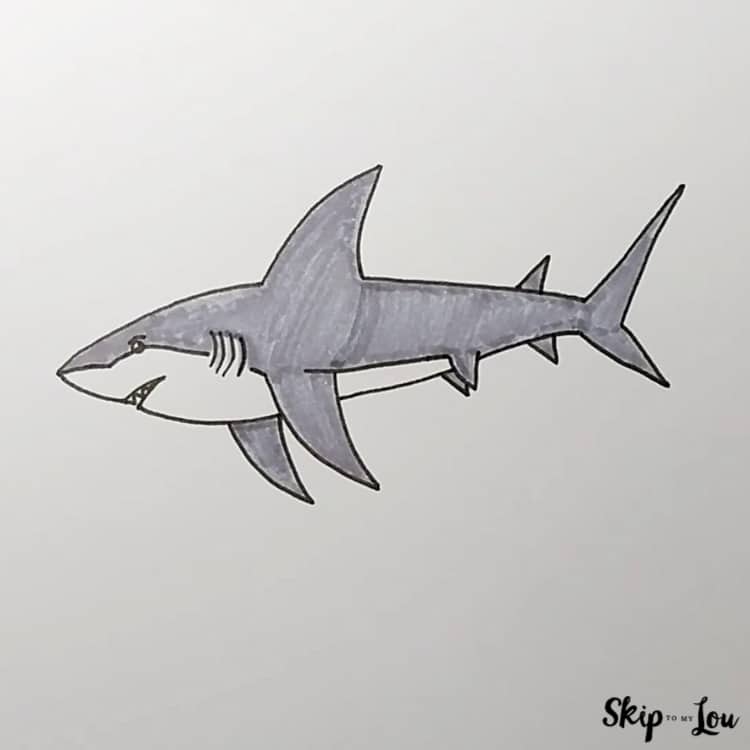 shark pictures to draw