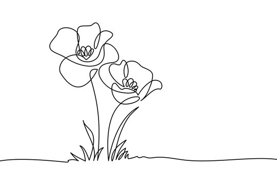 simple line drawings of flowers