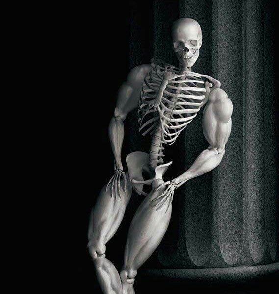 skeletal memes