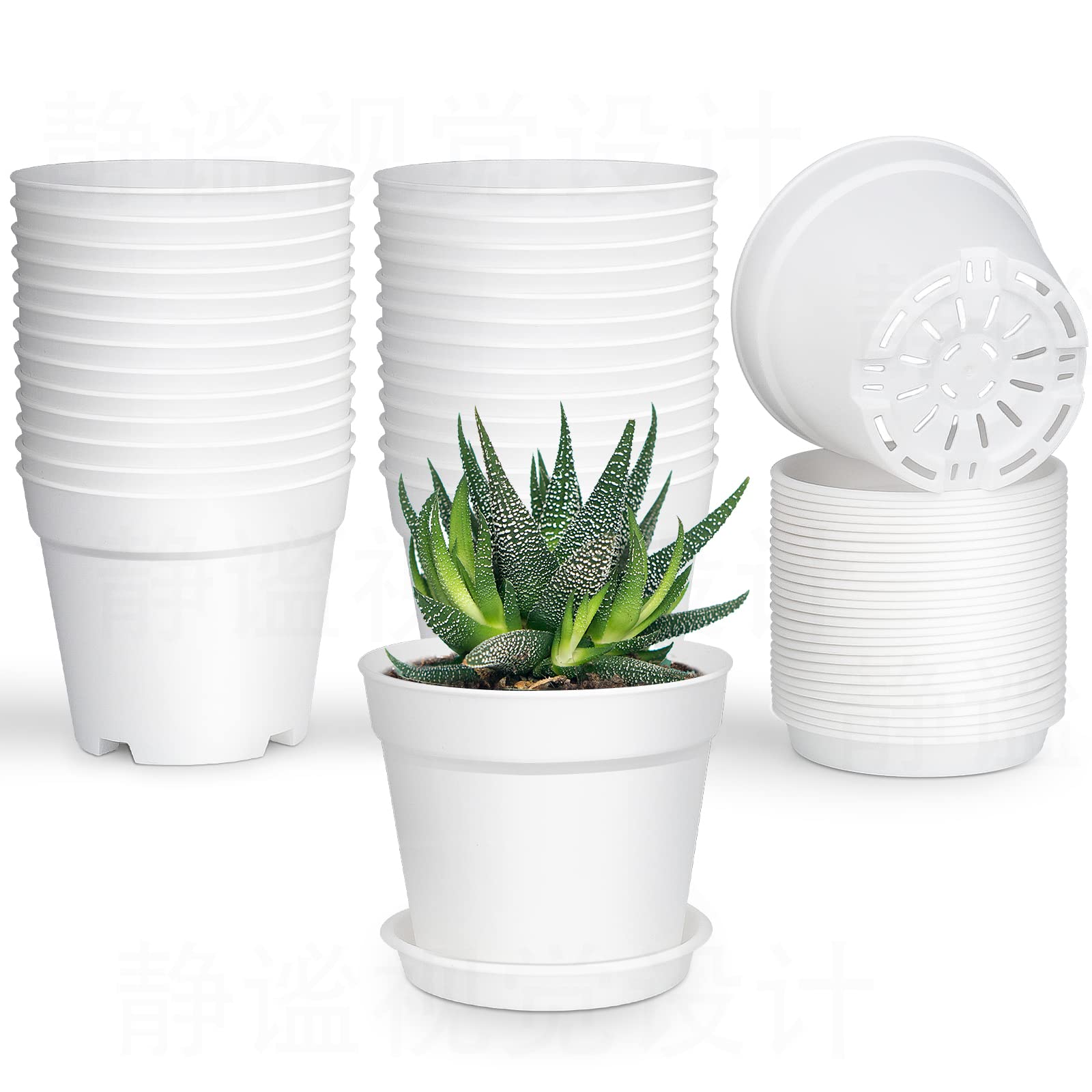 small plant pots plastic