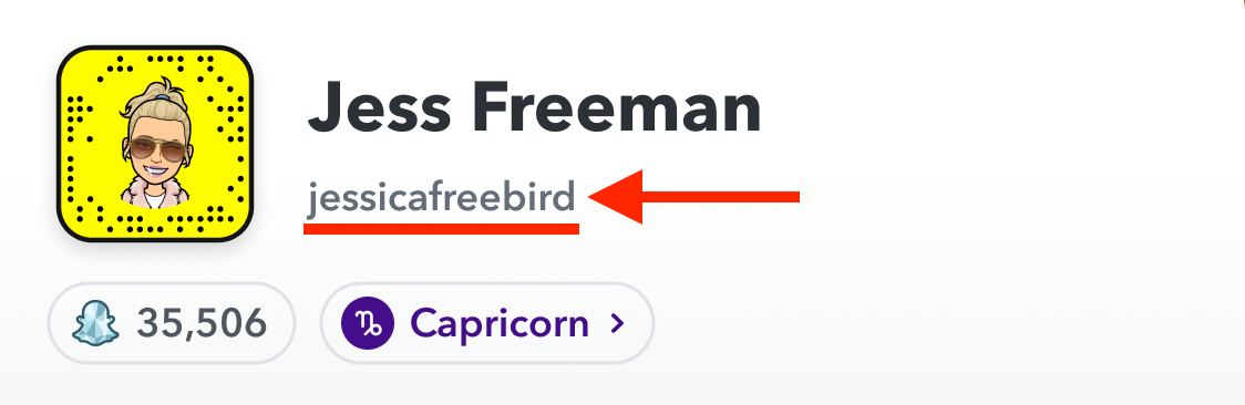 snapchat username reverse lookup free