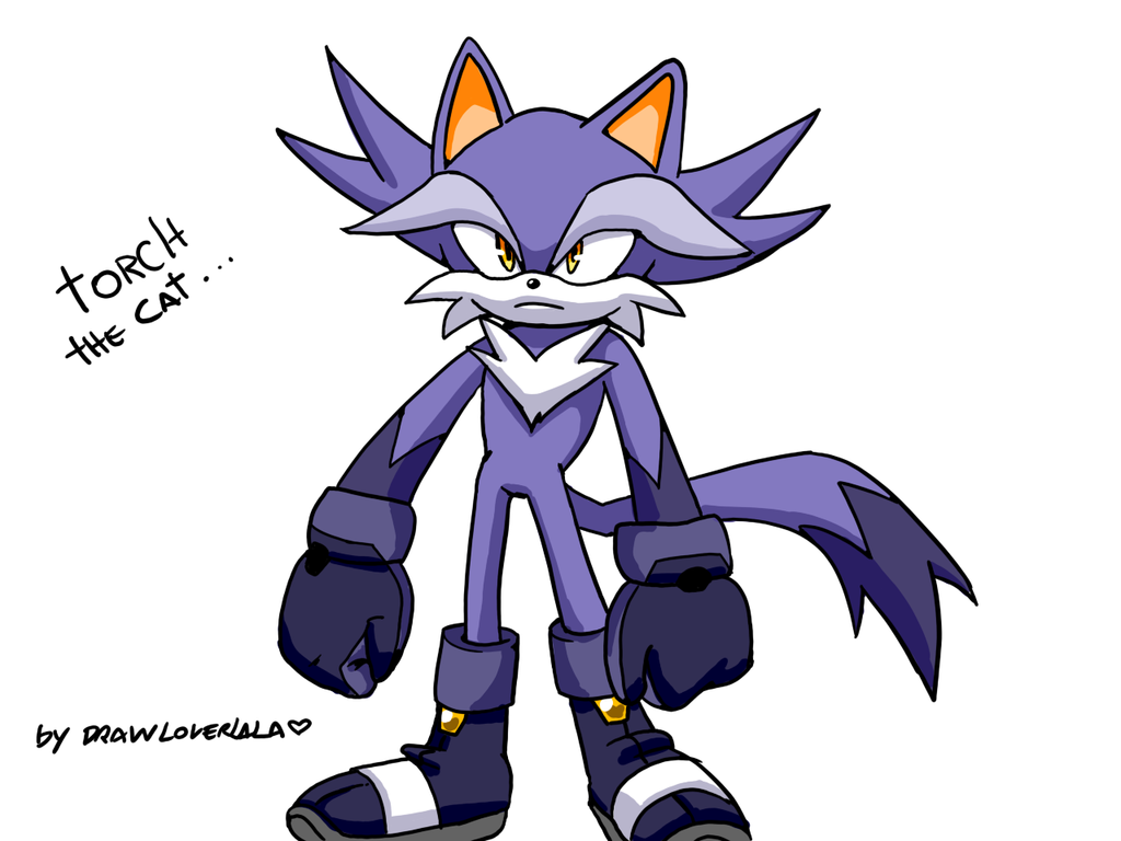 sonic cat oc