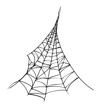 spider web png