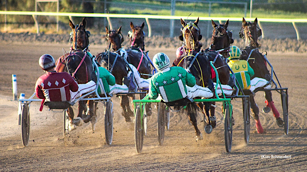 standardbred canada entries