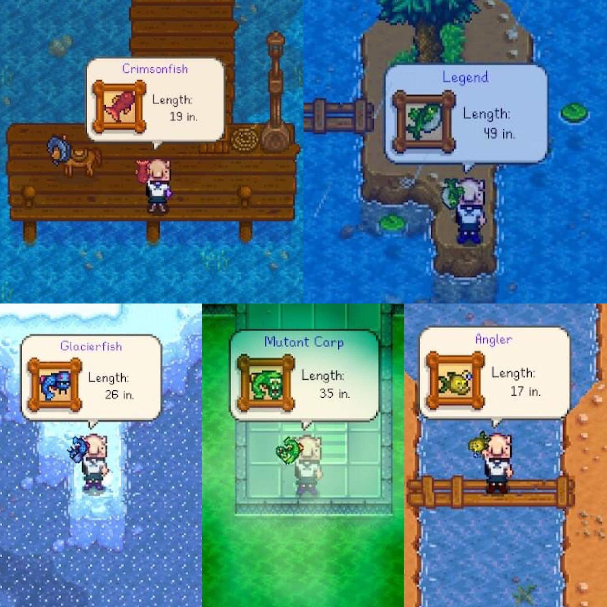 stardew legendary fish guide