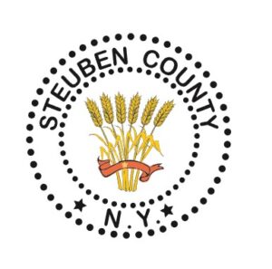 steuben tax auction