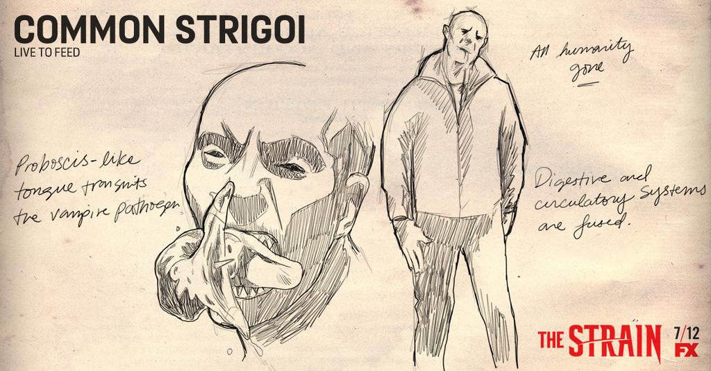 strigoi vampire