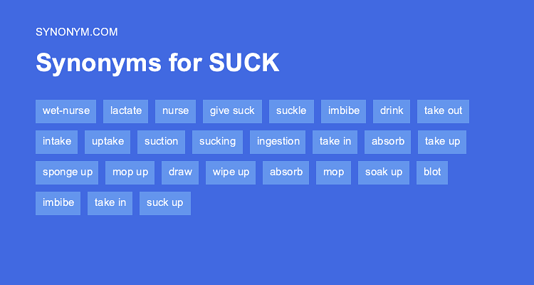 suck up synonyms